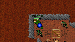Gaard on screen