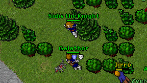 Sidis the Knight on screen