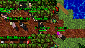 Amedoin on screen