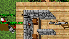 Feegon on screen