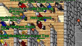 Netopuluss on screen