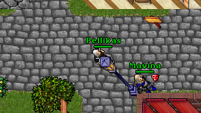 Pellikas on screen