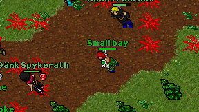 Small bay on screen