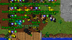 Agris on screen