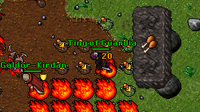 Ting of Guardia on screen