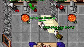 Kocham Piwko on screen