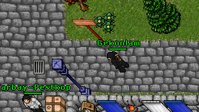 Gekonlam on screen