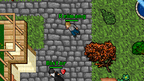 Reimang on screen