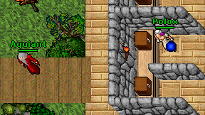Aquiant on screen