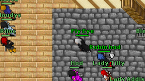 Fly Eye on screen