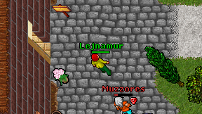 Lejnamur on screen