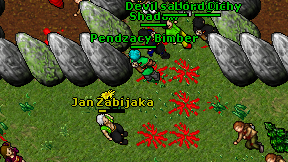 Pendzacy Bimber on screen