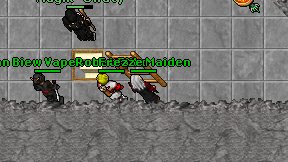Frezze Maiden on screen