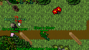 Elera Shor on screen
