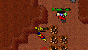 Velorm on screen