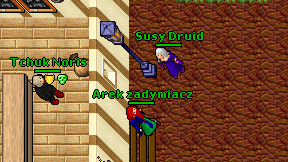 Susy Druid on screen