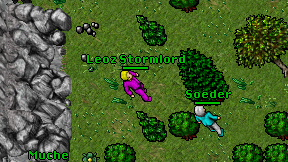 Leoz Stormlord on screen