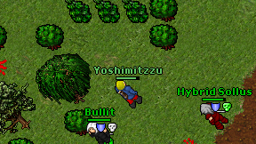 Yoshimitzzu on screen