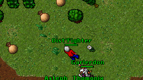 Dist'Fighter on screen