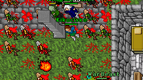 Kikucisko on screen