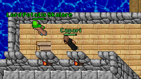 Capari on screen