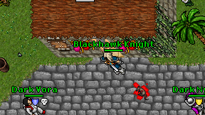 Blackhawk Knight on screen