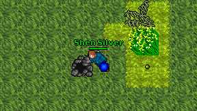 Shen Silver on screen