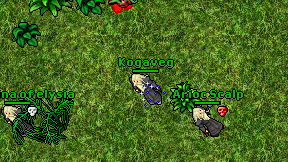 Kogaveg on screen