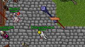 Cheguebara on screen