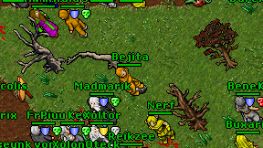 Bejita on screen