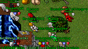 Wanj on screen