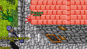 Peqay on screen
