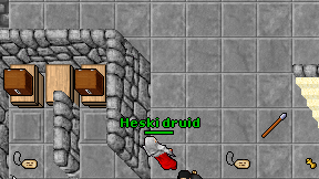 Heski druid on screen