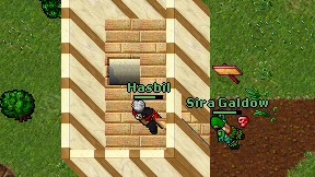 Hasbil on screen