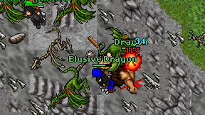 Elusive Dragon on screen