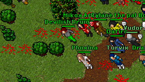 Devilish Druids on screen
