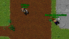 Tillsz on screen