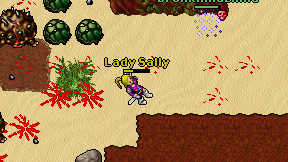 Lady Sally on screen