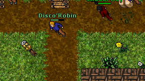 Disco'Robin on screen