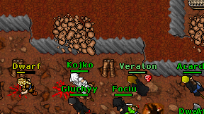 Kojko on screen