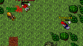 Yowcas on screen