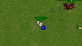 Dylans on screen