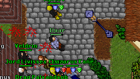 Ilaar on screen