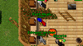 Yath Akan on screen