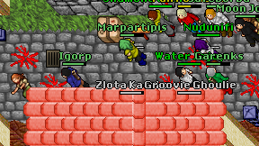 Igorp on screen