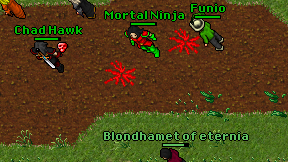 Mortal Ninja on screen