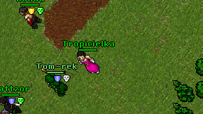 Tropicielka on screen