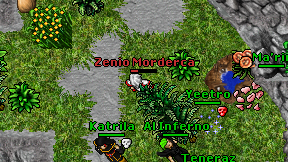 Zenio Morderca on screen