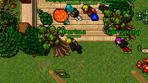 Parima on screen