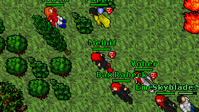 Melhif on screen